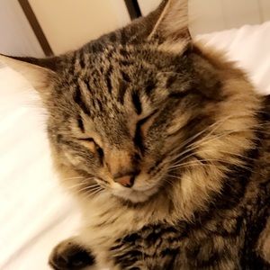 Meet your Posher, Leanne